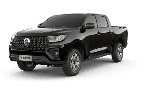 GWM Nueva Poer